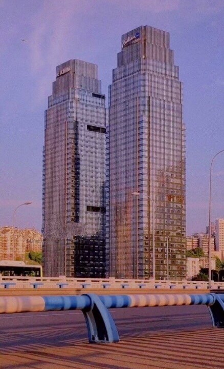 第十九章 蔚派国际 全球化浪潮下的战略抉择